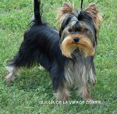 De la vierge doree - Ma poupee a 7 mois